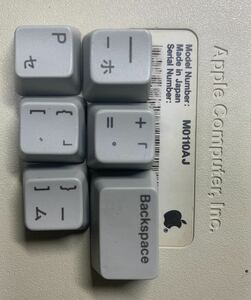 Apple Keyboard M0110AJ より取り外したキートップ　6個セットです。　#P