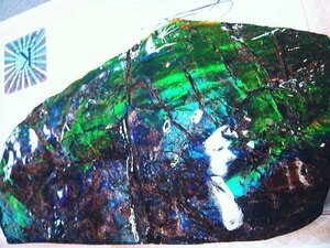 化石 アンモライト 青、緑、紫！寒色！巨大！オパールの様な発色！神秘的 ジュエリー 宝石 化石 原石 鉱物 標本 観賞石