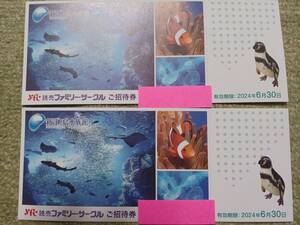 『新江ノ島水族館』招待券2枚セット 有効期限2024年6月３０日