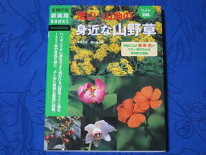 里山・山地の身近な山野草　ワイド図鑑　菱山 忠三郎　主婦の友実用BOOKS　主婦の友社