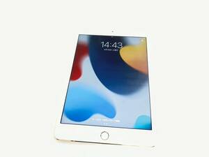 4-14-1 美品 Apple iPad mini 第5世代 128GB WiFi シルバー 7.9インチ モデル名:A1538 iPad 本体 mini5 アイパッド ミ二 ゴールド gold 金