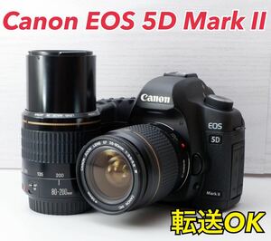 ★Canon EOS 5D Mark Ⅱ★S数約12800回●スマホ転送 1ヶ月動作補償あり！