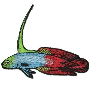 アイロンワッペン・パッチ 熱帯魚 ハタタテハゼ 青・緑・赤 zq
