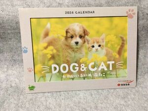 かわいい子いぬ・子ねこ 2024年 卓上 カレンダー DOG&CAT 住友生命