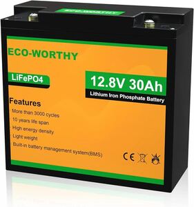 ECO-WORTHY リチウムイオンバッテリー 12V 30AH 284Wh バッテリー リン酸鉄 リチウム電池 lifepo4 ディープサイクル 3000回 BMS保護 RV