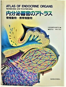 内分泌器官のアトラス―脊椎動物・無脊椎動物 / 日本比較内分泌学会(編)/講談社