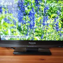 Panasonic  19型VIERAテレビ