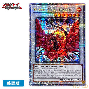 【遊戯王/英語版】ブラック・ローズ・ドラゴン (25thシークレットレア) [TN23-EN014] LIMITED EDITION (NM) YuGiOh 5D