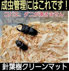 送料無料☆カブトムシ、クワガタの成虫飼育専用☆針葉樹クリーンマット☆ケース内が明るくなり生体が目立つ！ダニ、コバエも湧かなくなる！