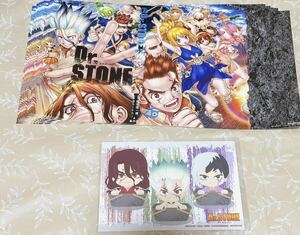 【Dr.STONE】ブックカバー&ポストカード12枚セット まとめ売り 差し替えカバー 非売品 特典 アニメ 漫画