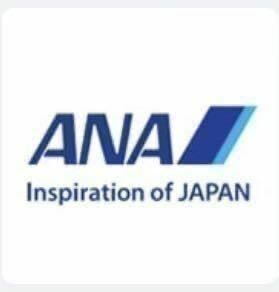 ANA110000マイル クレカOK 最短2日で加算A