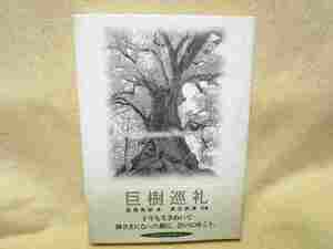  高橋英雄『巨樹巡礼』(にじゅうに/帯/2001年)巨木　神木