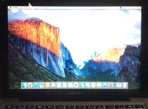 Apple MacBook Pro A1278 Mid2009~Mid2010 13インチ用 液晶モニター 動作確認済み (N309)