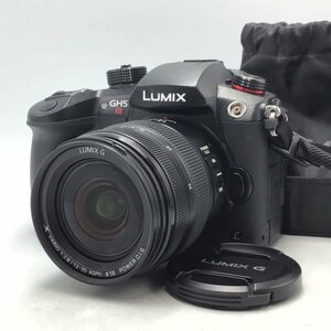 カメラ Panasonic Lumix DC-GH5S / Lumix G X VARIO 1:2.8 12-35mm デジタル一眼レフ セット品 現状品 [1535HJ]
