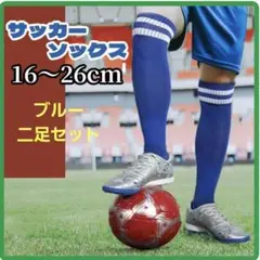 サッカーソックス　靴下　ジュニア　キッズ　ブルー　二足　プロ　スポーツ　子供