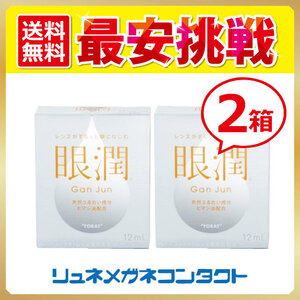 ポイント10倍以上確定 眼潤 2箱セット ハードレンズ用装着液 送料無料