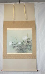 特選品　YI-150　菊　堤不覊画　横物　日本画　絹本　肉筆書画　掛軸　書道