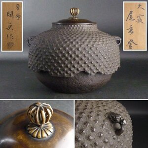 【扇屋】浜田閑英 作「大霰 尾垂釜」共箱 幅 約28cm 高さ 約23cm 鉄瓶 茶釜 茶道具 釜師 tk5