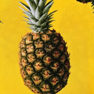 即決です！パイナップル　110㎝幅200㎝　オックス生地　　パイン　ハワイ　黄色