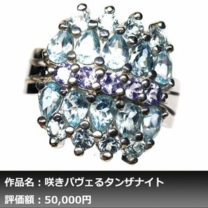 【1円新品】イケゾエガレ｜5.00ct 天然トパーズ&タンザナイト K14WG仕上リング 10号｜作家モノ｜本物保証｜NGL鑑別対応