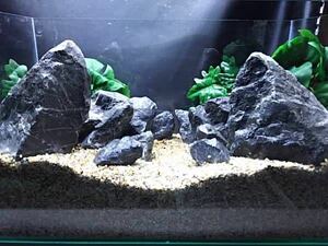 9【人気商品】清流石12キロセット★検 水槽 龍王石 ADA 熱帯魚 霜降り アクアリウム