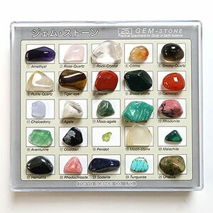 東京サイエンス ジェムストーン宝石鉱物標本25種コレクション Gemstones25