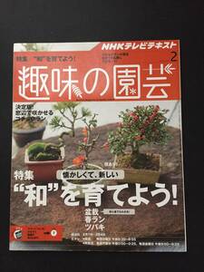 趣味の園芸　2016年　2月　初心者でもわかる　盆栽　春ラン　ツバキ