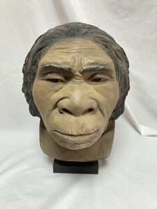 原始人　原人　猿人　石膏像　オブジェ　模型