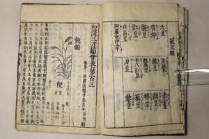 「和漢三才図会 第103-104巻」寺島良安 1冊｜事典 図鑑 穀類 豆類 食物 植物 麻 絵本 絵入り 木版画 古書 和本 古典籍 n36