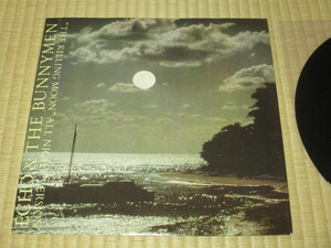 ECHO & THE BUNNYMEN エコー＆ザ・バニーメン THE KILLING MOON c/w DO IT CLEAN 英 12inch EP DAMONTOプレス イアン・マッカロク