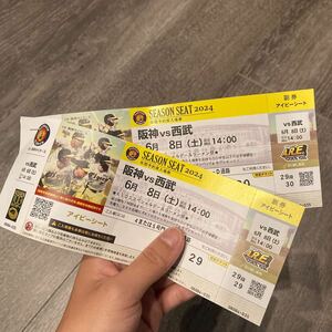 阪神vs西武　６月８日土曜日　14時　2枚　アイビーシート甲子園 阪神甲子園球場 ラーメン祭