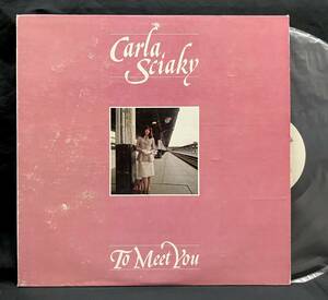 米LP【To Meet You】Carla Sciaky（Propinquity 自主制作盤 フィメールフォーク 検索サイケ）