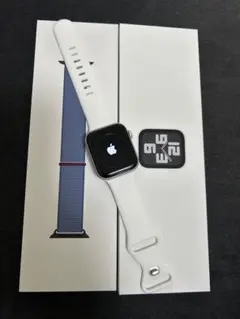 Apple Watch SE 44mm silver