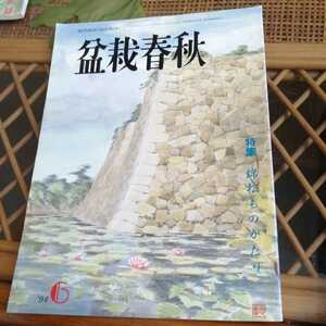 ☆盆栽春秋　1994年6月号　発行　日本盆栽協会☆