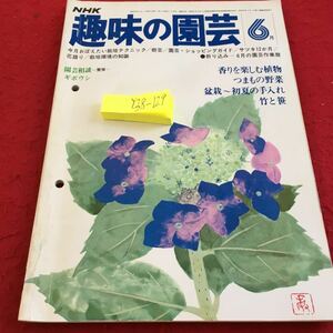 Y38-129 NHK 趣味の園芸 6月 香りを楽しむ植物 つまもの野菜 盆栽 初夏の手入れ 竹と笹 ギボウシ テクニック ガイド 昭和53年発行