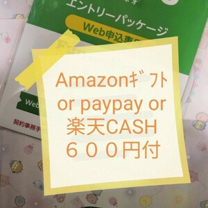 即対応 オマケ付　６００円付（pay/アマ/楽天）マイぴたキャンペーン対応 mineoマイネオエントリーパッケージ　コード　紹介URL 招待 498