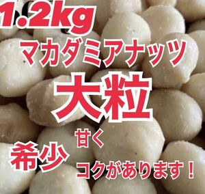 【大粒】マカダミアナッツ　1.2kg 素焼き　無塩　無添加　ナッツ　非常食　ナッツ　おつまみ　おやつ