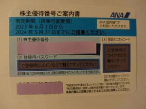 ANA株主優待券_期限2024/5/31_1枚