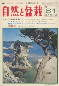 ■自然と盆栽　No.61 ［特集：小品盆栽／さくら］検：中村是好・たる源（川尻利次郎）・大野彰夫・コヒガンザクラ