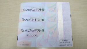 ◆◇花とみどりのギフト券 1000円×3枚 3000円分 有効期限2024 12/31◇◆