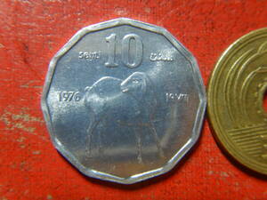 外国・ソマリア／１０センチ・アルミニウム貨：FAO（1976年）　240325