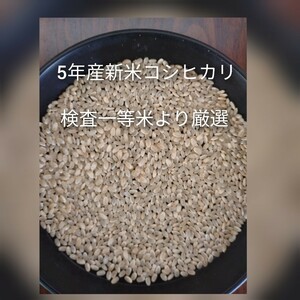 茨城県産コシヒカリ玄米20キロ