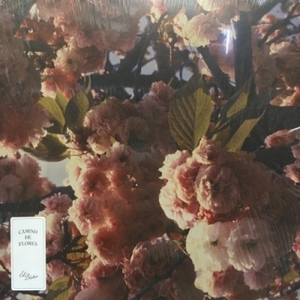 【HMV渋谷】EL BUHO/CAMINO DE FLORES(SHSH27)