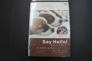 DVD Say Hello!! あのこによろしく レンタル落ち YY26203