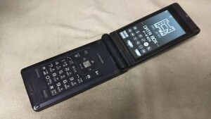 DG4651 docomo FOMA P906i Panasonic ガラケー ケータイ 折り畳み式 簡易動作確認＆簡易清掃＆初期化OK 判定○ 現状品 送料無料　