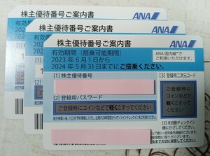 ANA株主優待券4枚2024.5.31迄