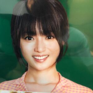 激レア★未使用★深田恭子　非売品クリアファイル　ニチレイ　サラダチキン★