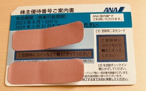 匿名配送　株主優待券　ANA　国内線　１枚