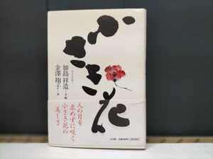 加島祥造文・画　金沢翔子書　　小さき花