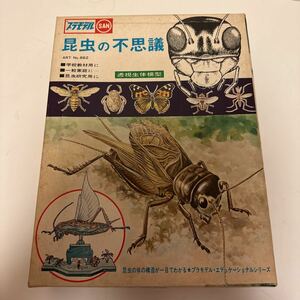 ★レア★希少★昆虫の不思議　透視生体模型　マルサン　プラモデル